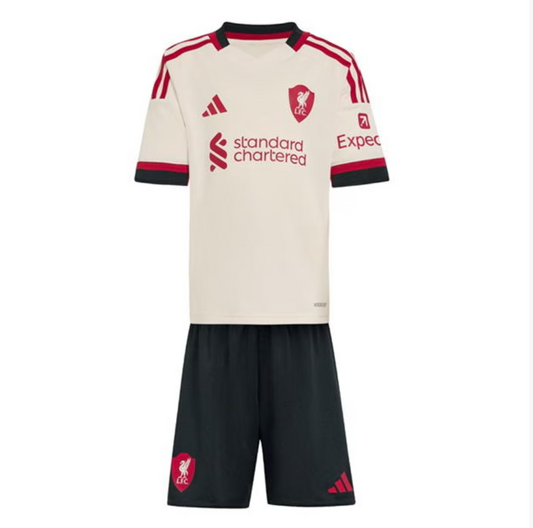 Liverpool Adidas Away Kit 2025-26
