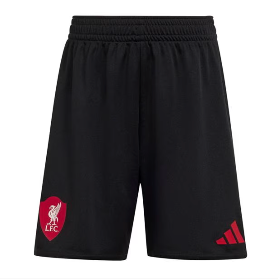 Liverpool Adidas Away Kit 2025-26